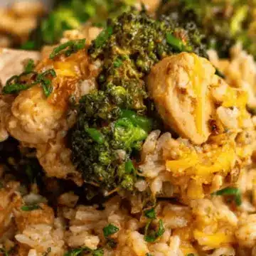 Crock Pot Chicken, Broccoli, and Rice