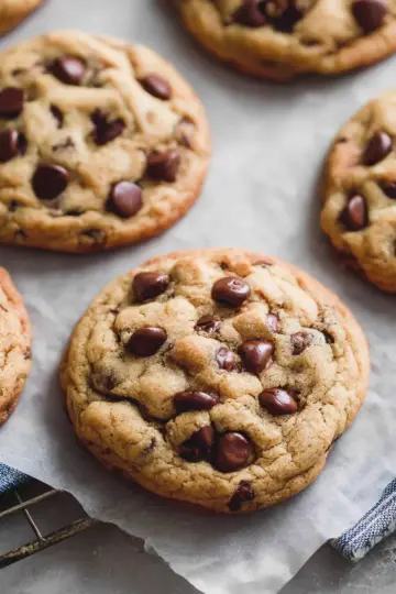Chewy Chocolate Chip Cookies