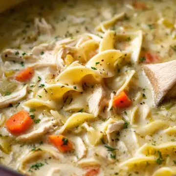 Creamy Chicken Noodle Soup