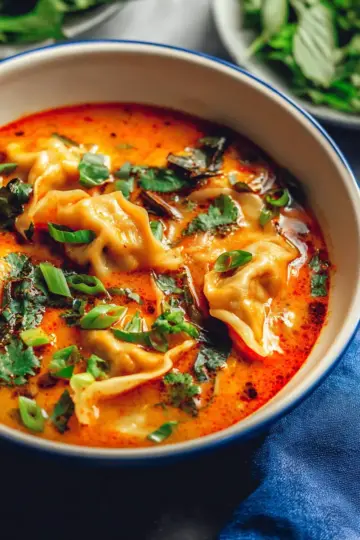 Red Curry Dumpling Soup