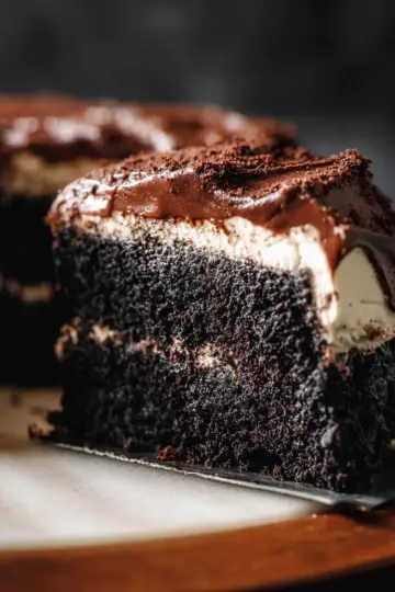 Black Cocoa Cake